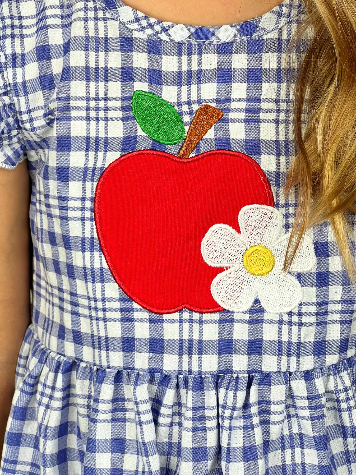 Apple of My Class Gingham Dress - Image 6