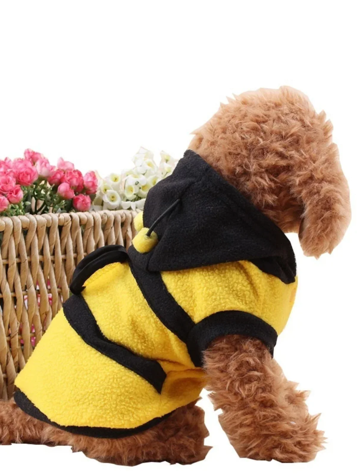 Dog Bee Cute  Halloween Costume - Image 3