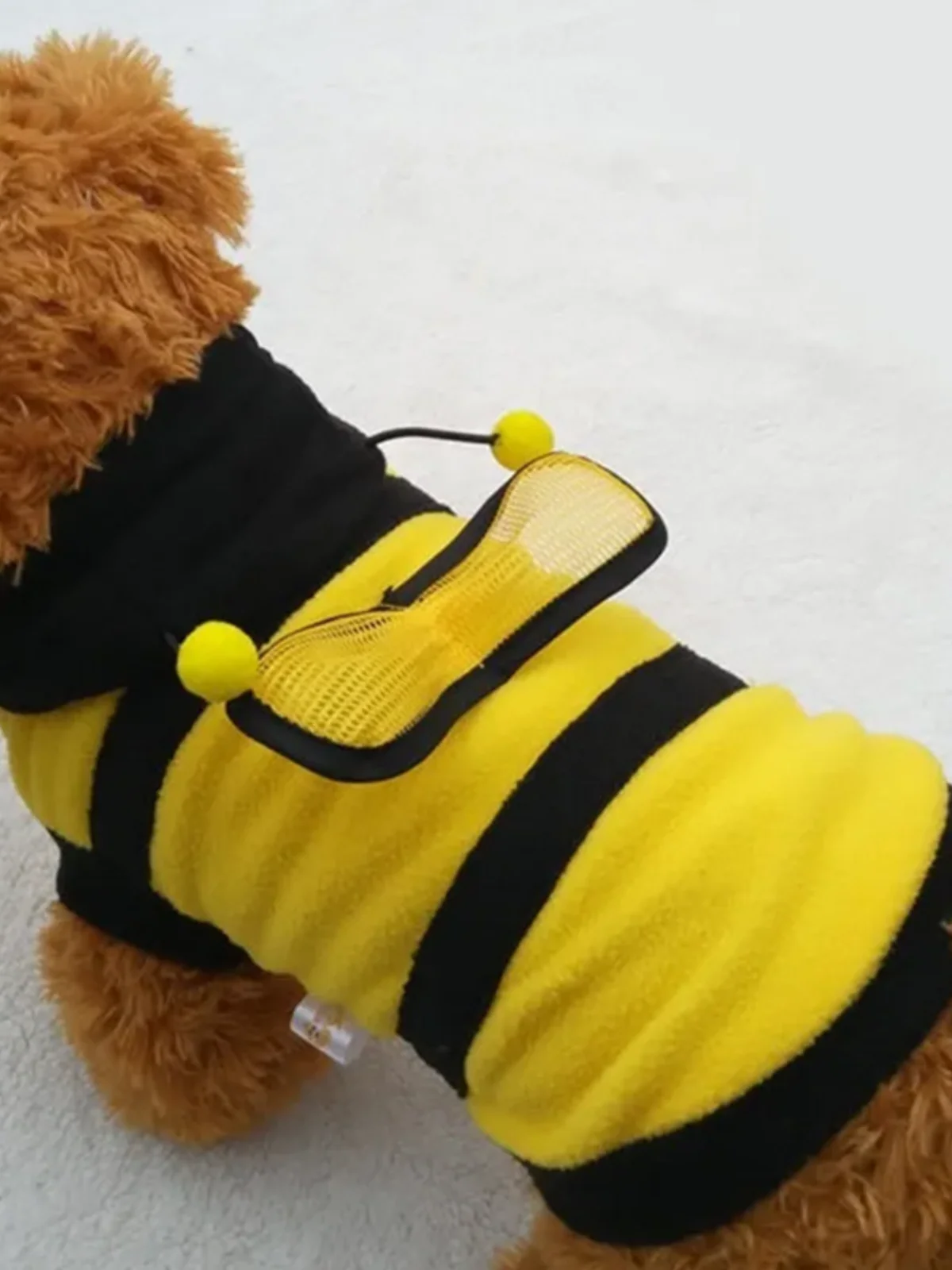Dog Bee Cute  Halloween Costume - Image 4