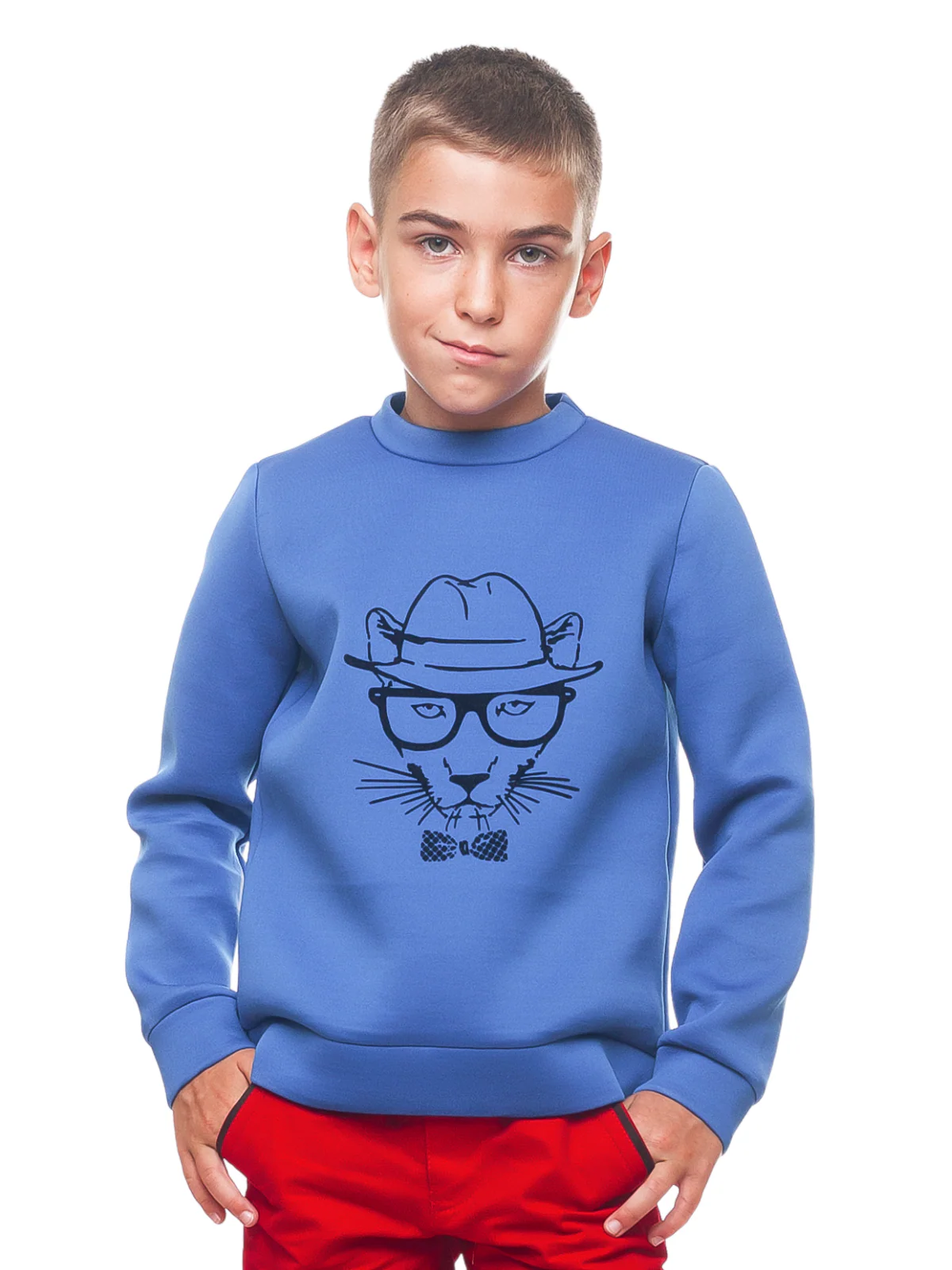 Boys Blue Cool Cat Sweatshirt by Kids Couture - Image 2