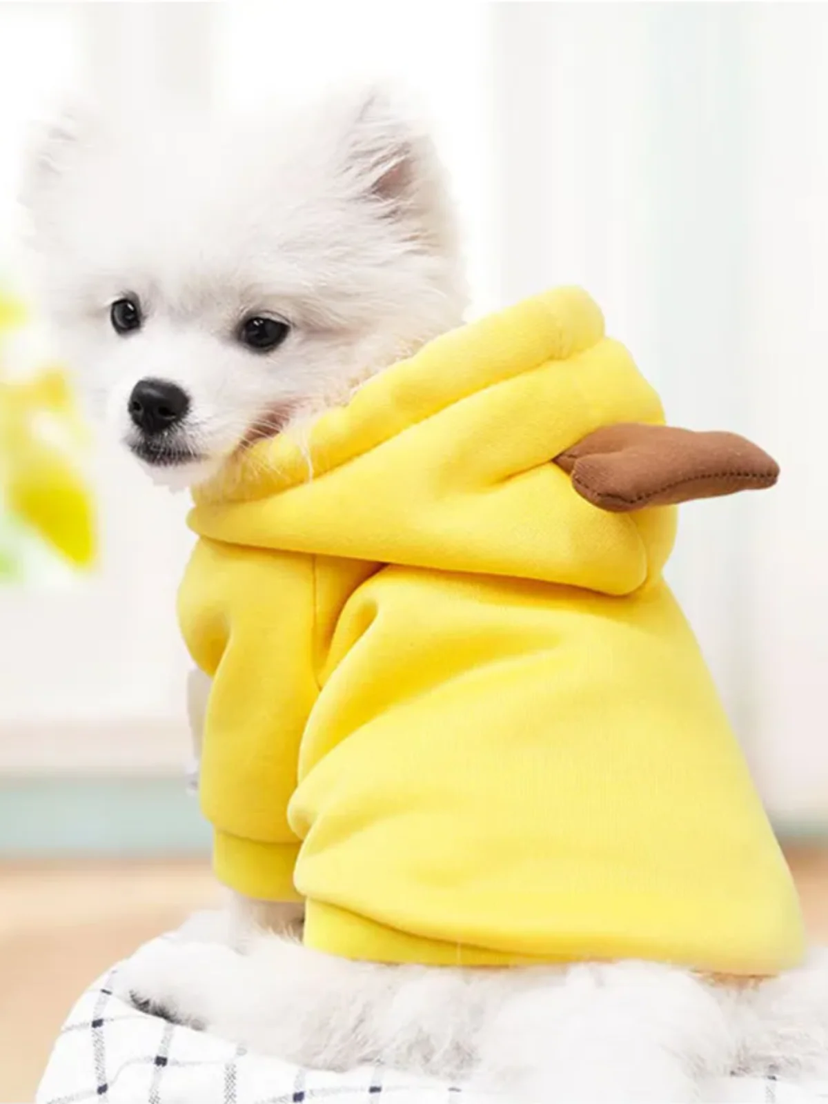 Adorable Banana Dog Halloween Costume - Image 3