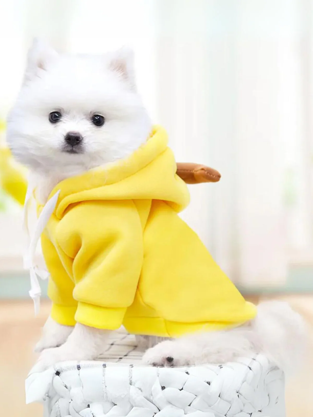 Adorable Banana Dog Halloween Costume - Image 4