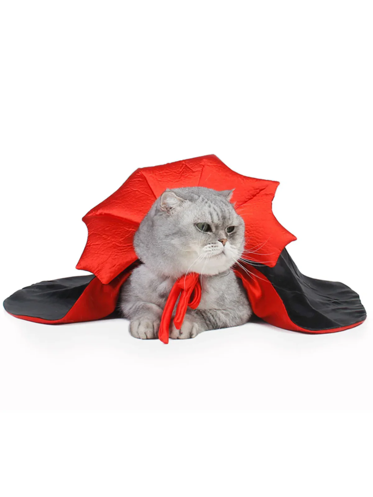 Halloween Vampire Cloak for Small Dogs and Cats - Image 3