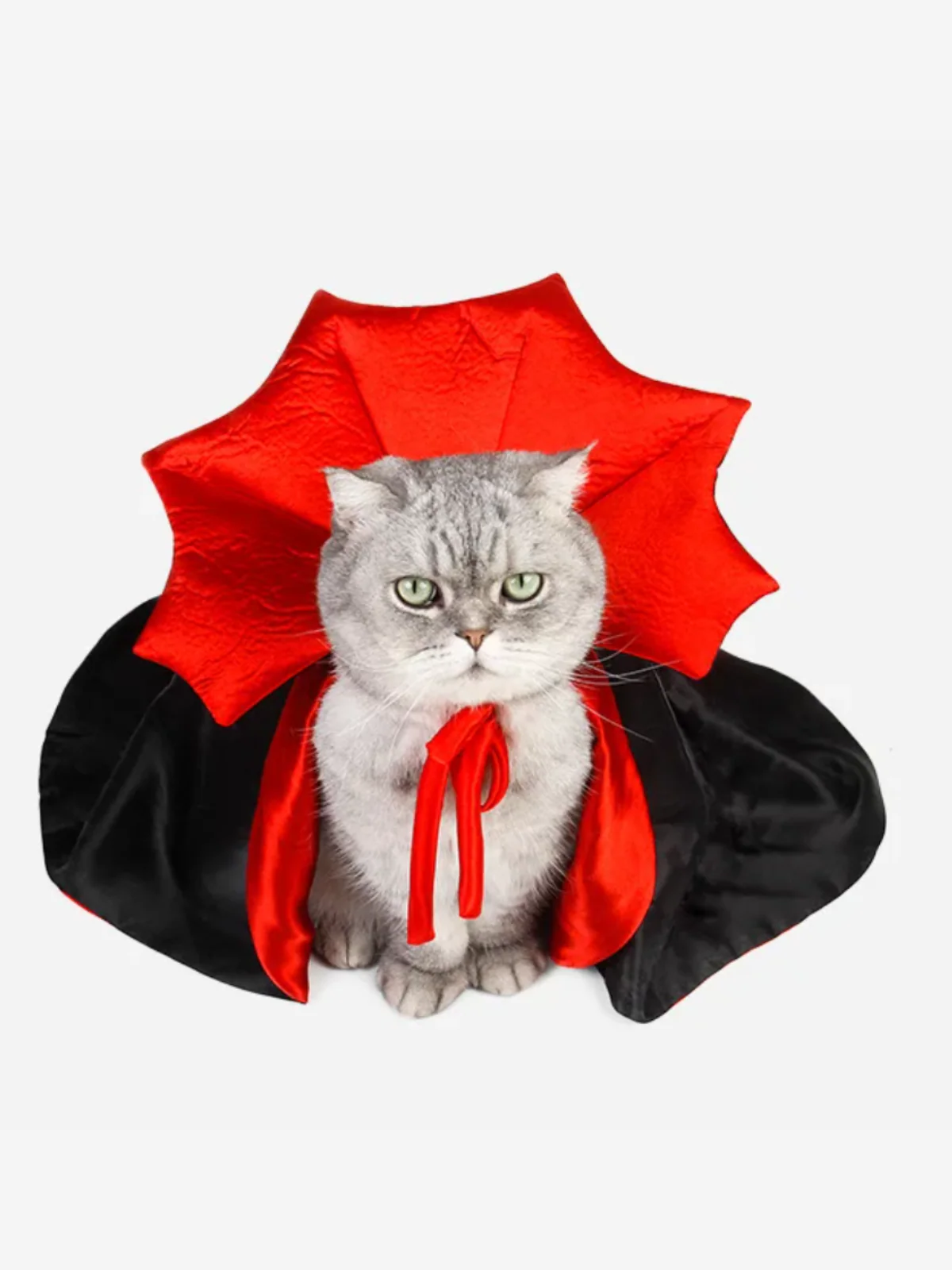 Halloween Vampire Cloak for Small Dogs and Cats - Image 4