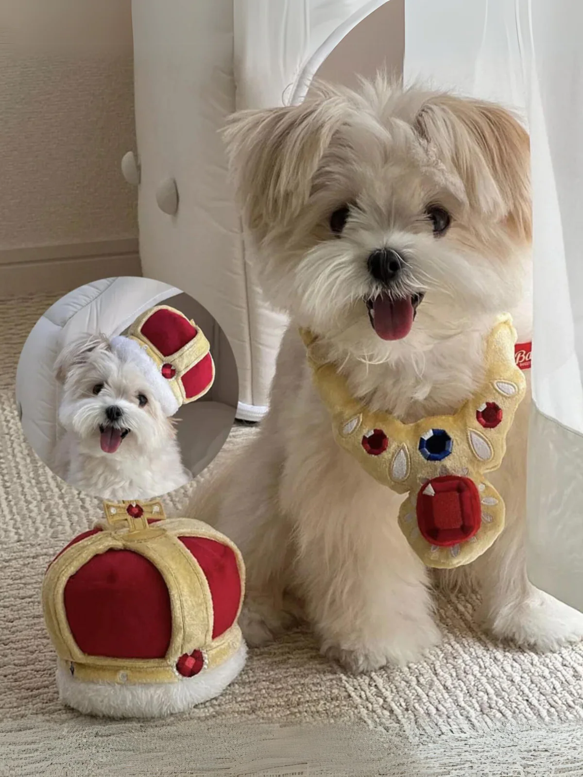 Majestic King Crown and Necklace Pet Halloween Costume - Image 2