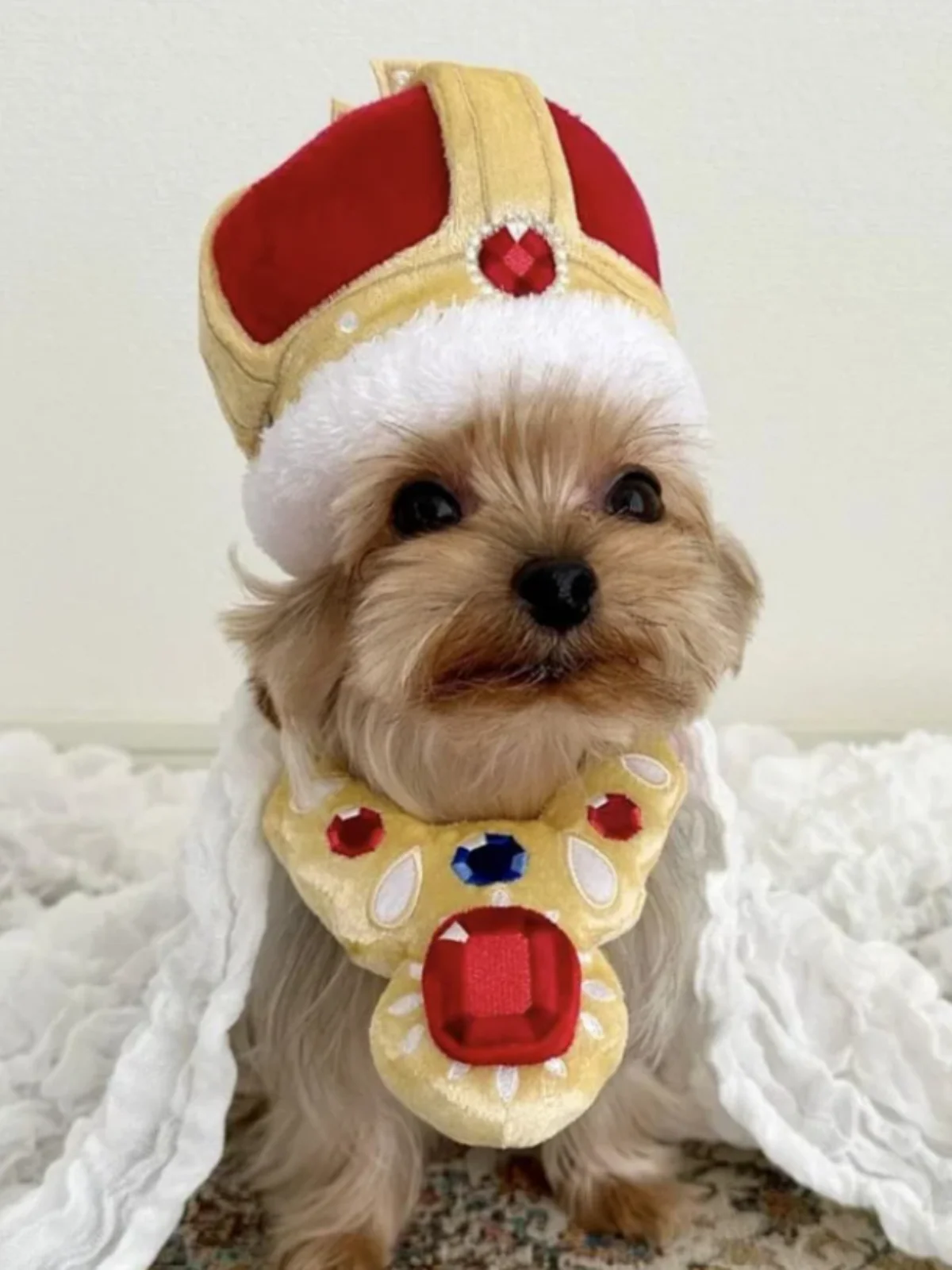 Majestic King Crown and Necklace Pet Halloween Costume - Image 3