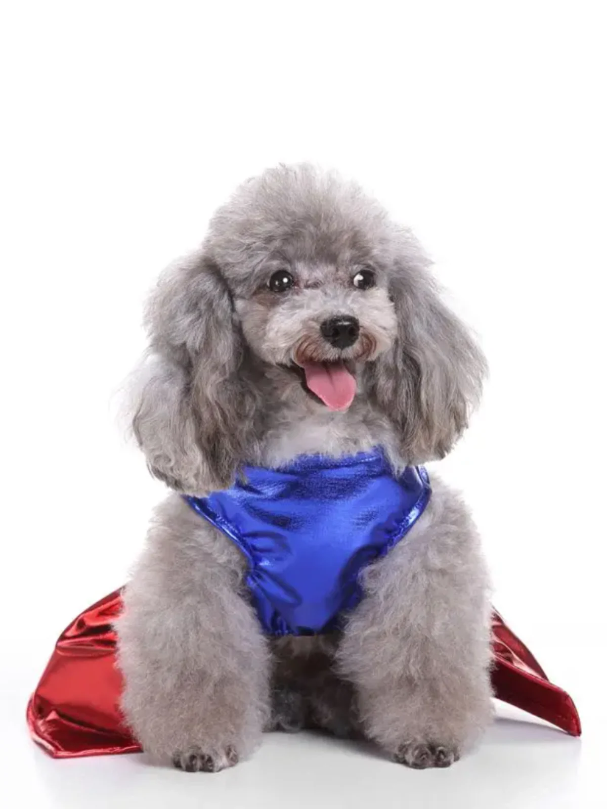 Superpaw Super Dog Halloween Costume - Image 3
