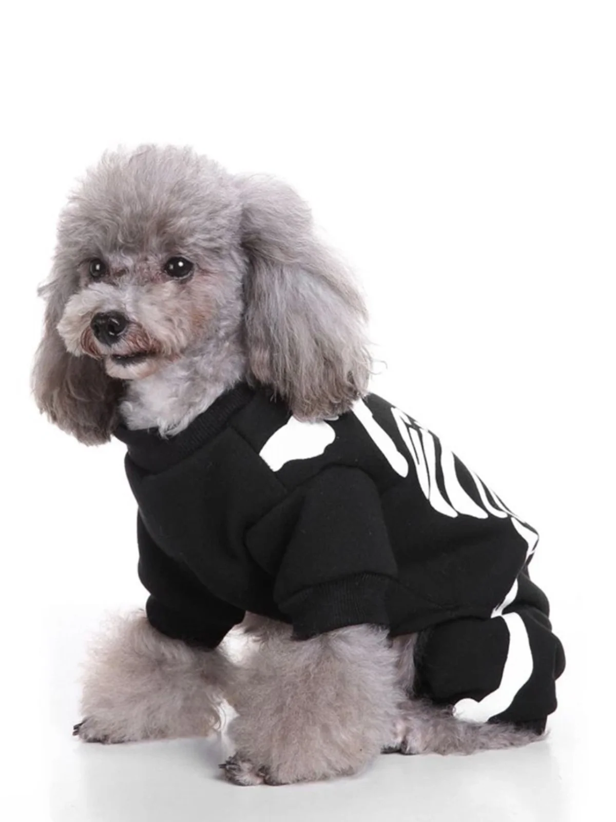 Dog Spooky Skeleton Halloween Costume - Image 2