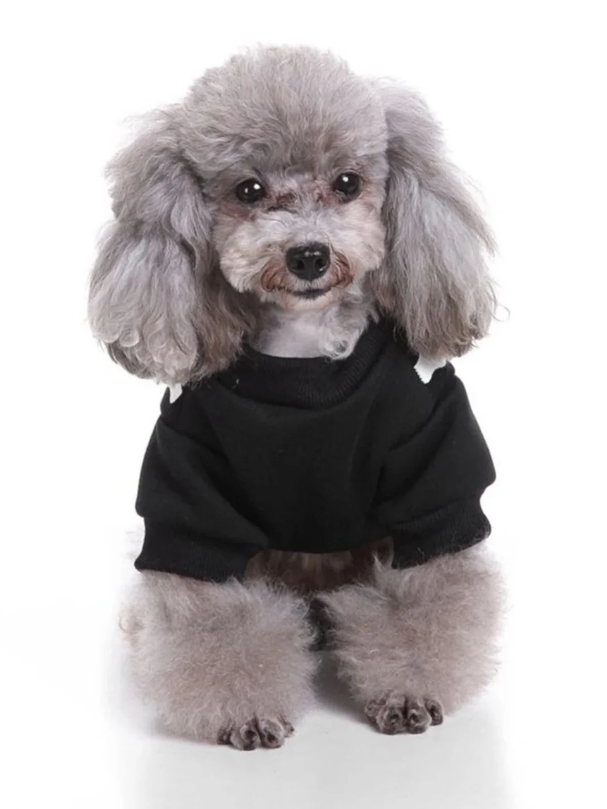 Dog Spooky Skeleton Halloween Costume - Image 3