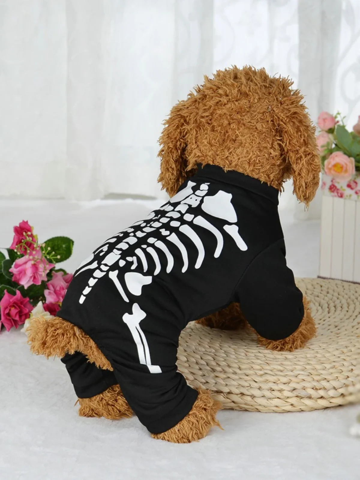 Dog Spooky Skeleton Halloween Costume - Image 4