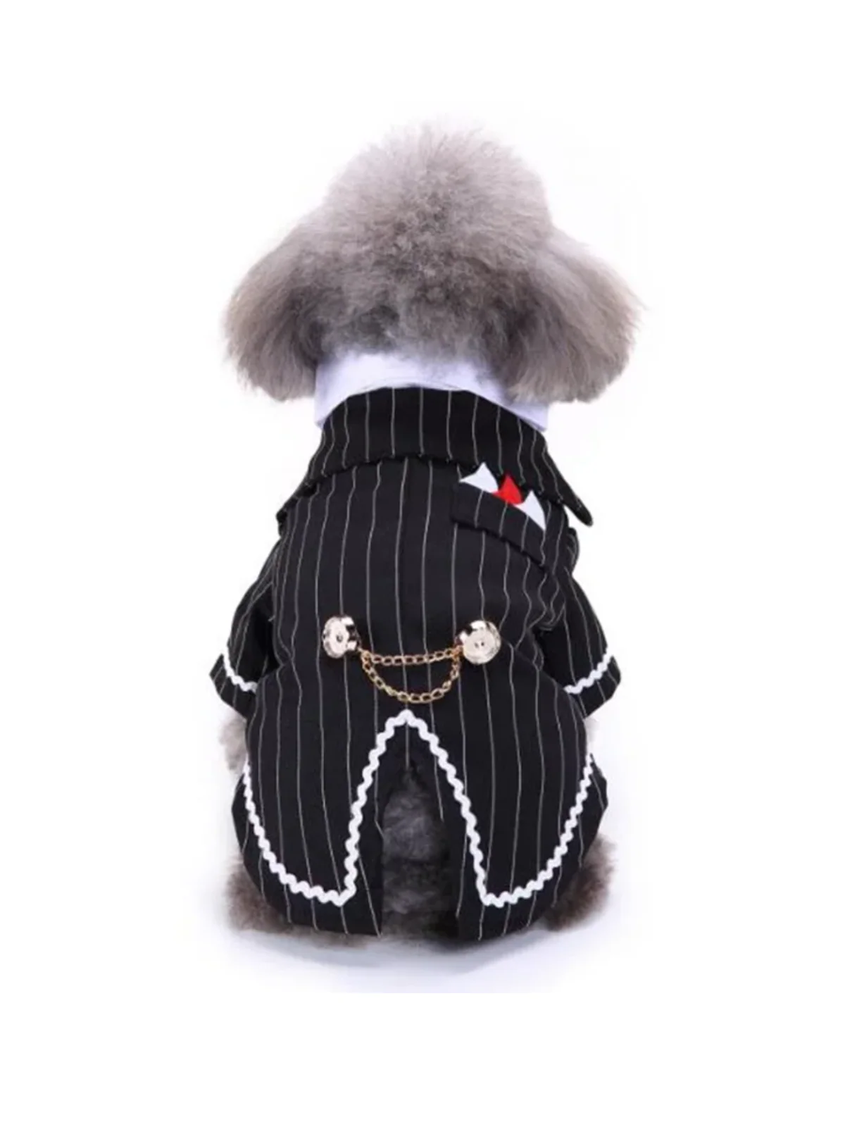 Striped Dog Tuxedo Bow Tie Gentleman Halloween Costume - Image 3