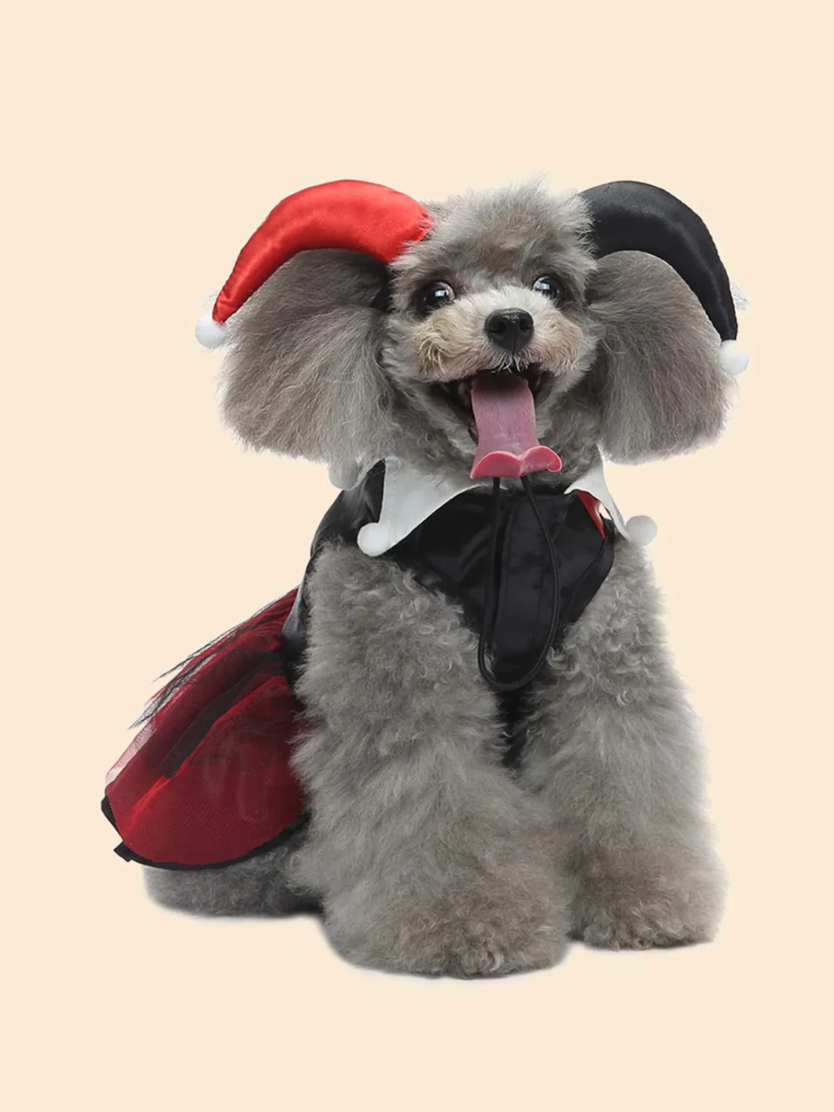 Dog Adorable  Magician Halloween Costume - Image 2
