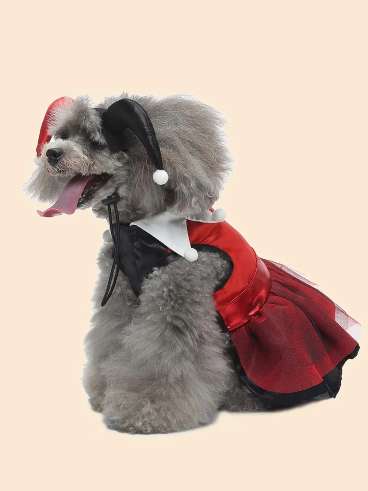 Dog Adorable  Magician Halloween Costume - Image 3