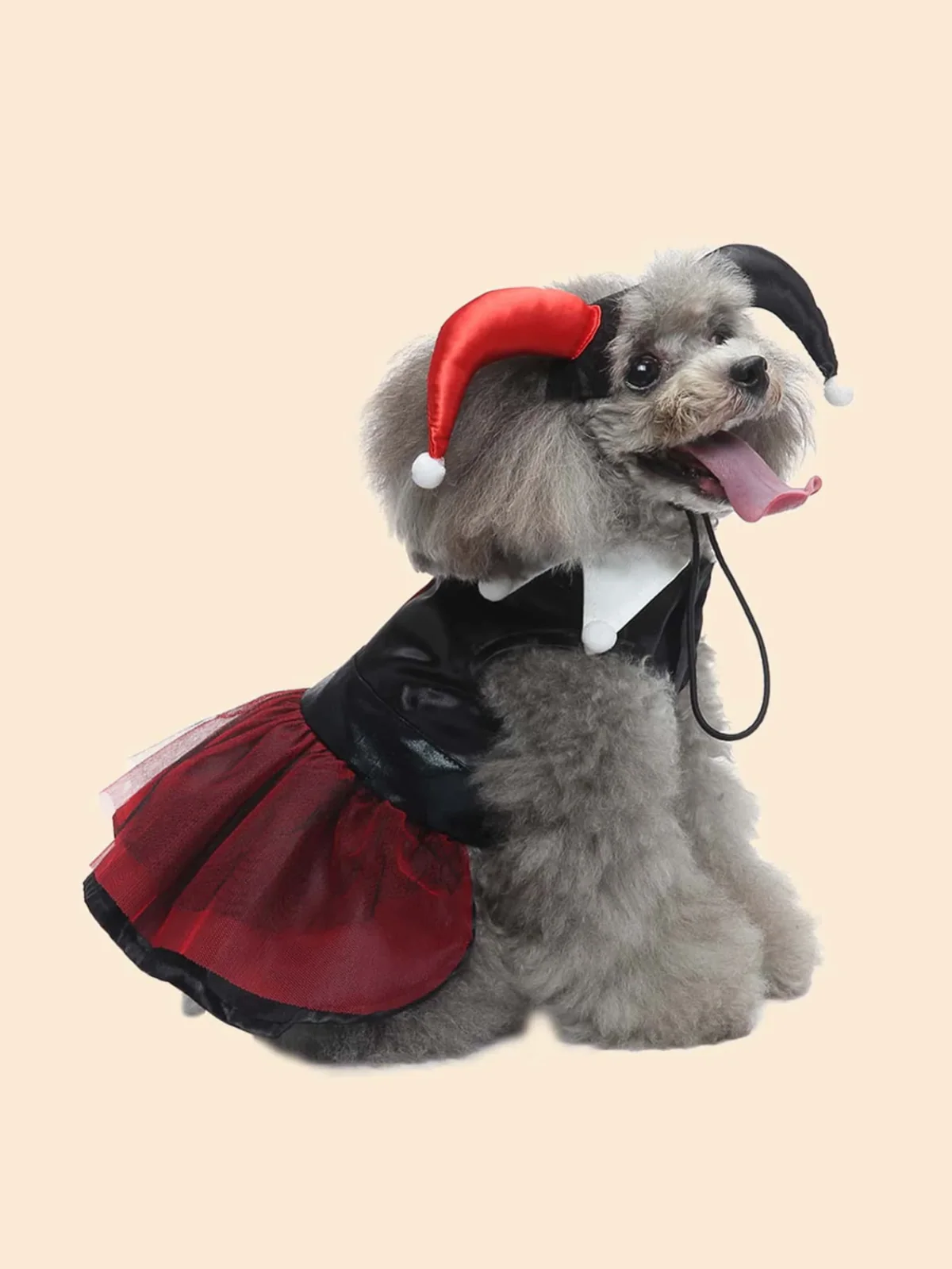 Dog Adorable  Magician Halloween Costume - Image 4
