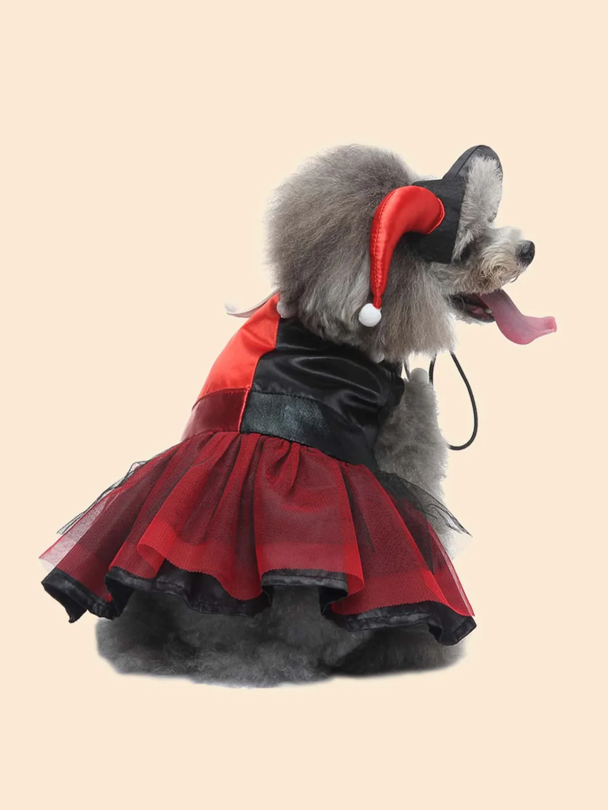 Dog Adorable  Magician Halloween Costume - Image 6