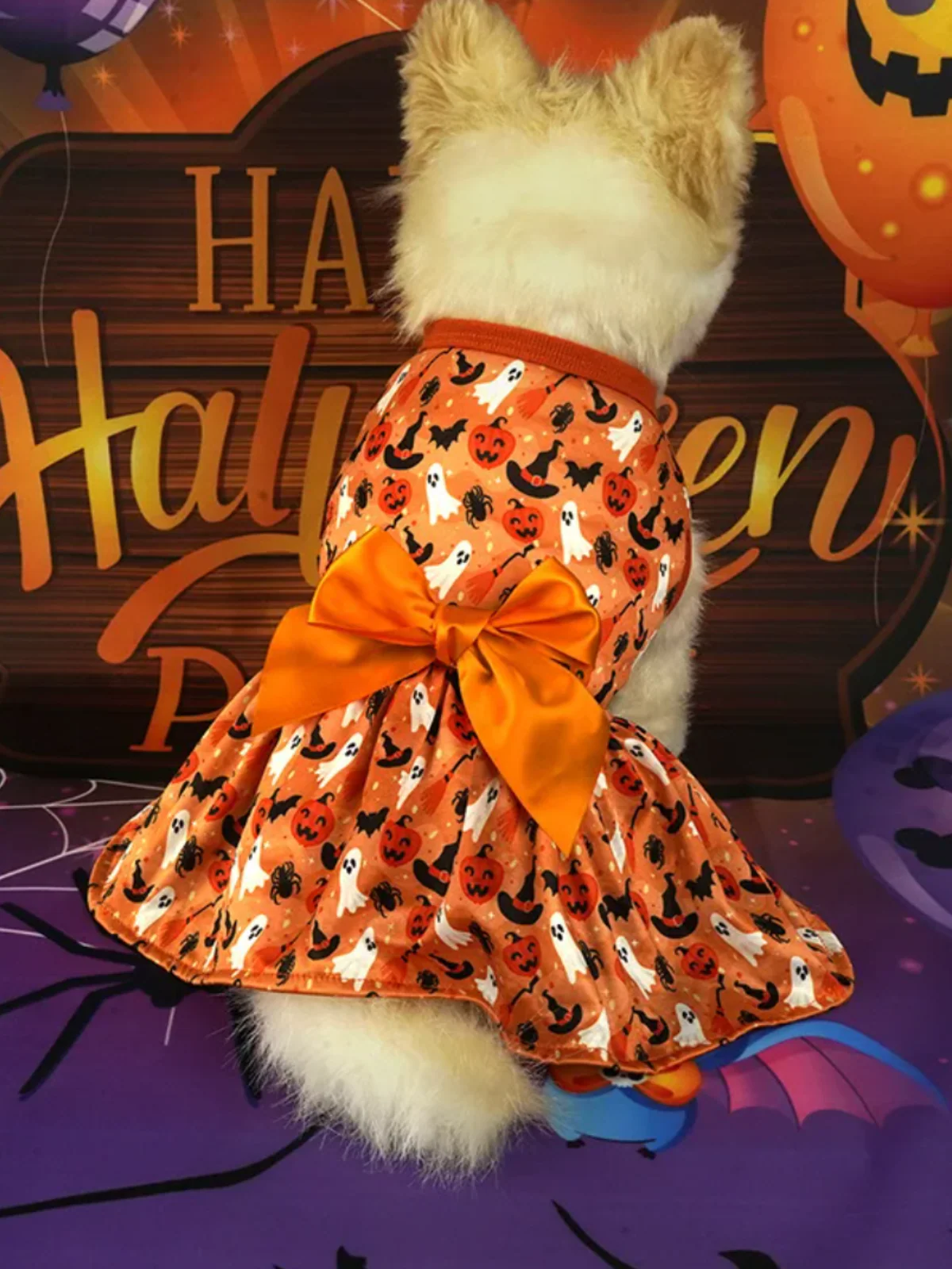 Dog Spooky Pumpkin Halloween Costume - Image 2
