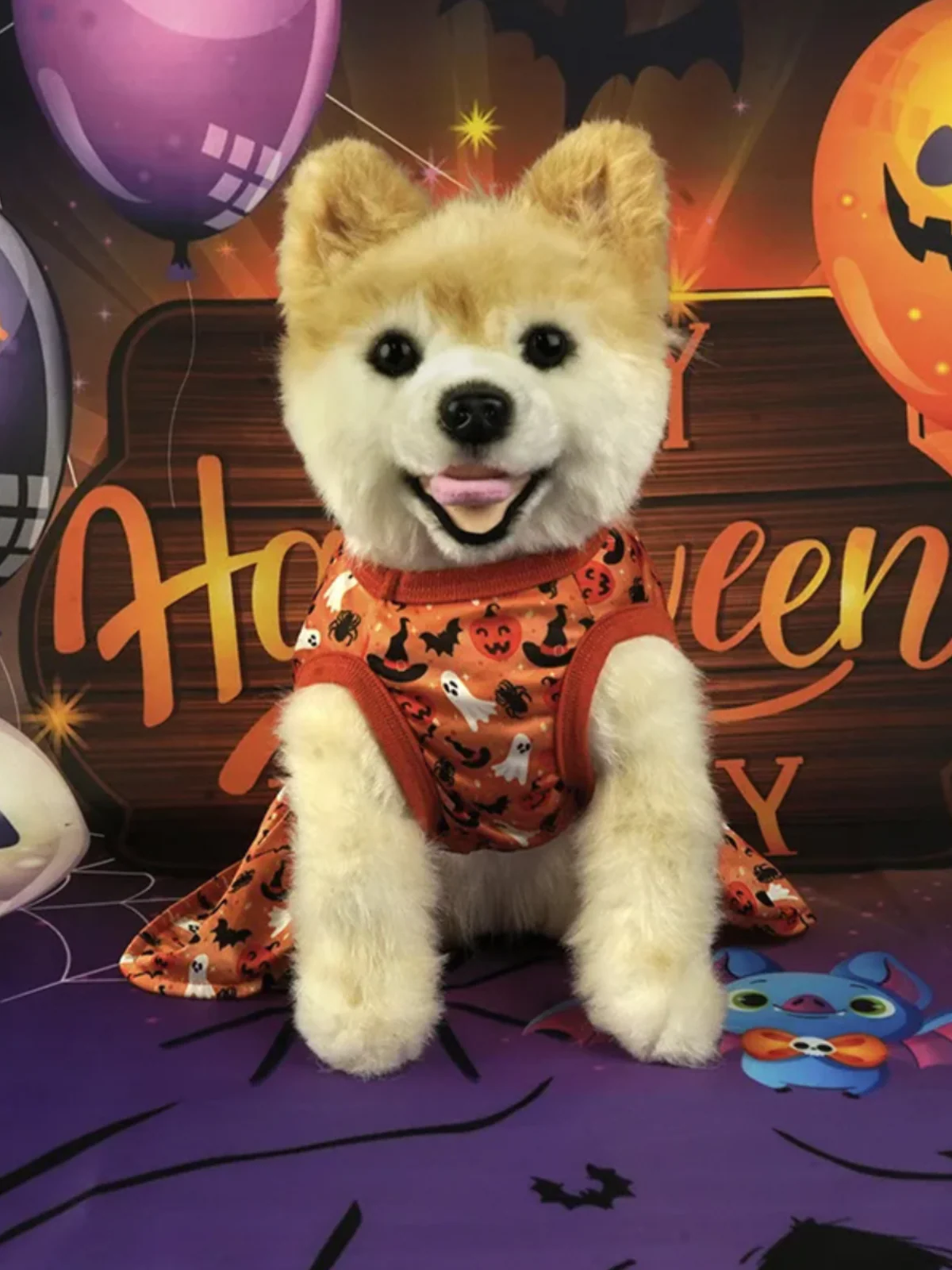 Dog Spooky Pumpkin Halloween Costume - Image 3