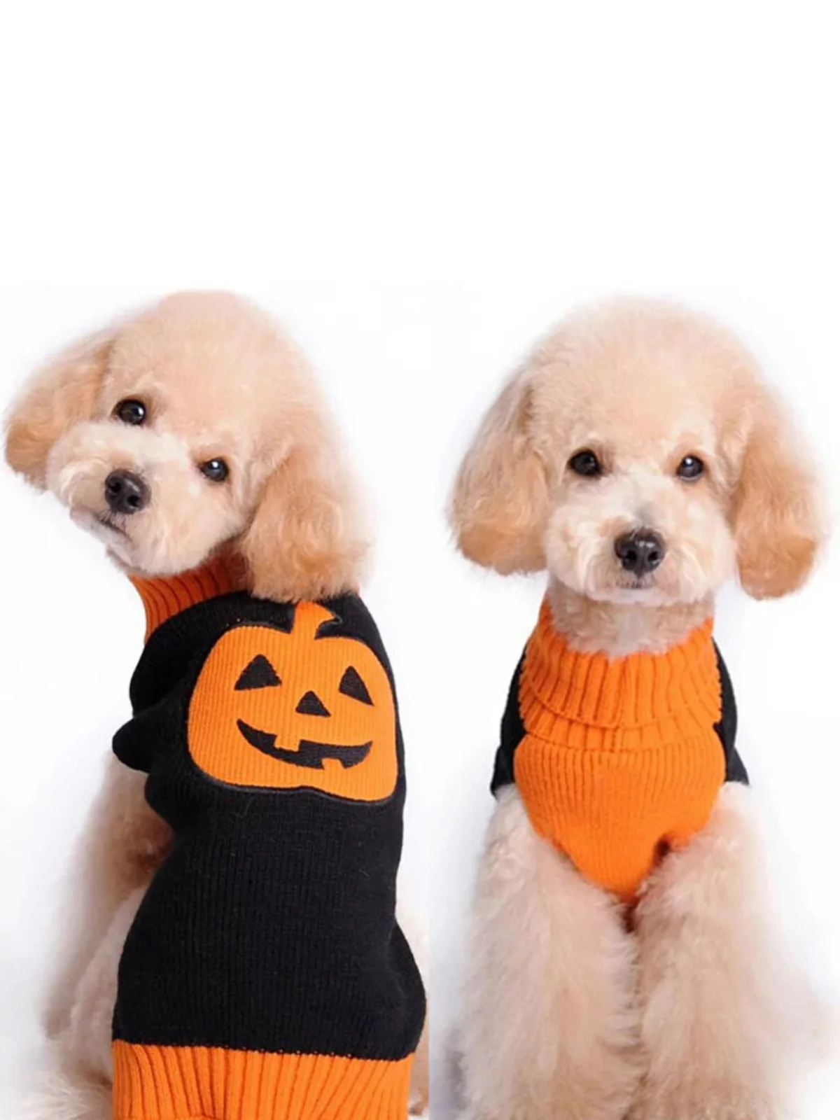 Dog Skull & Pumpkin Halloween Sweater Costume - Image 2