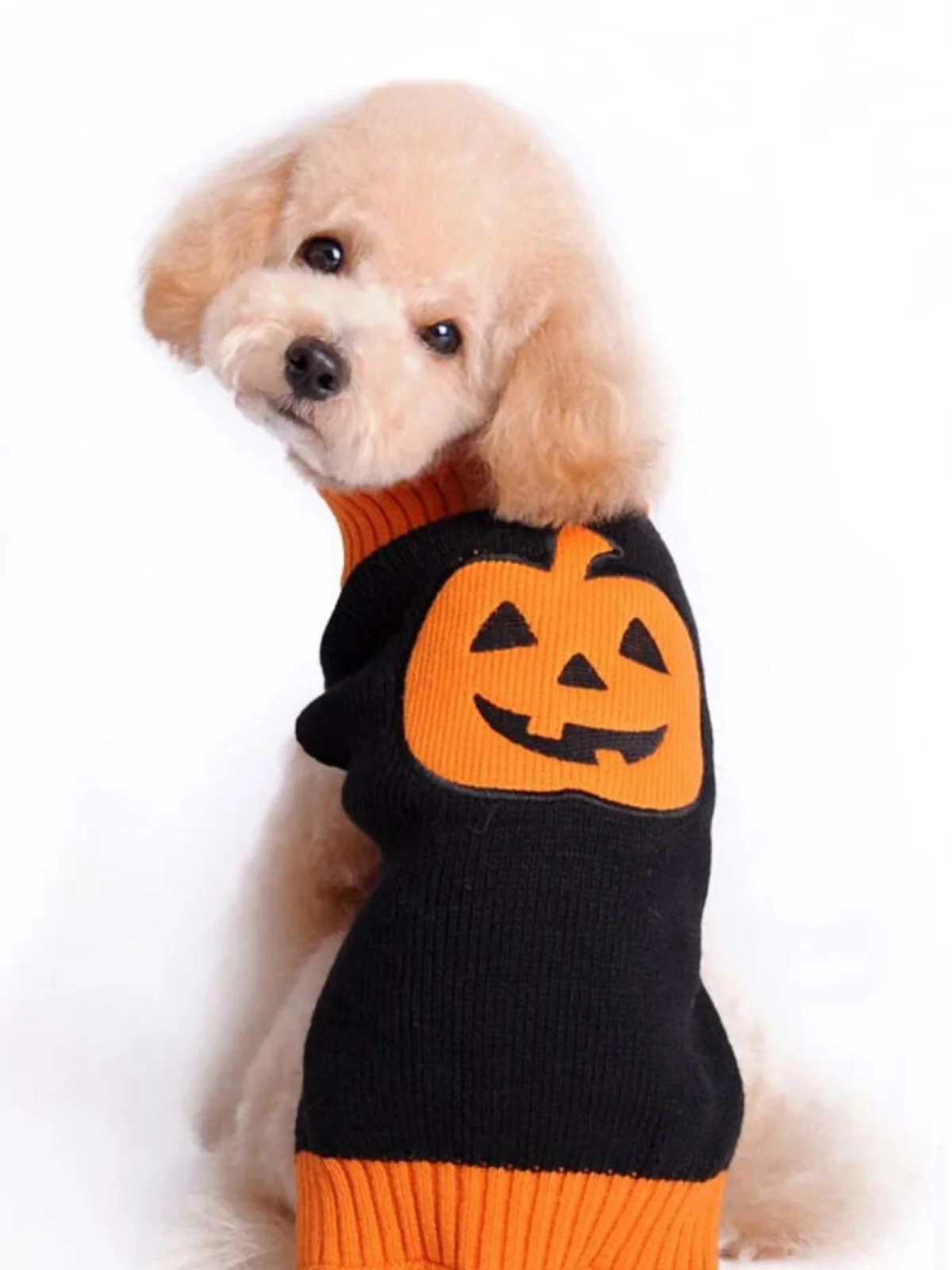 Dog Skull & Pumpkin Halloween Sweater Costume - Image 3