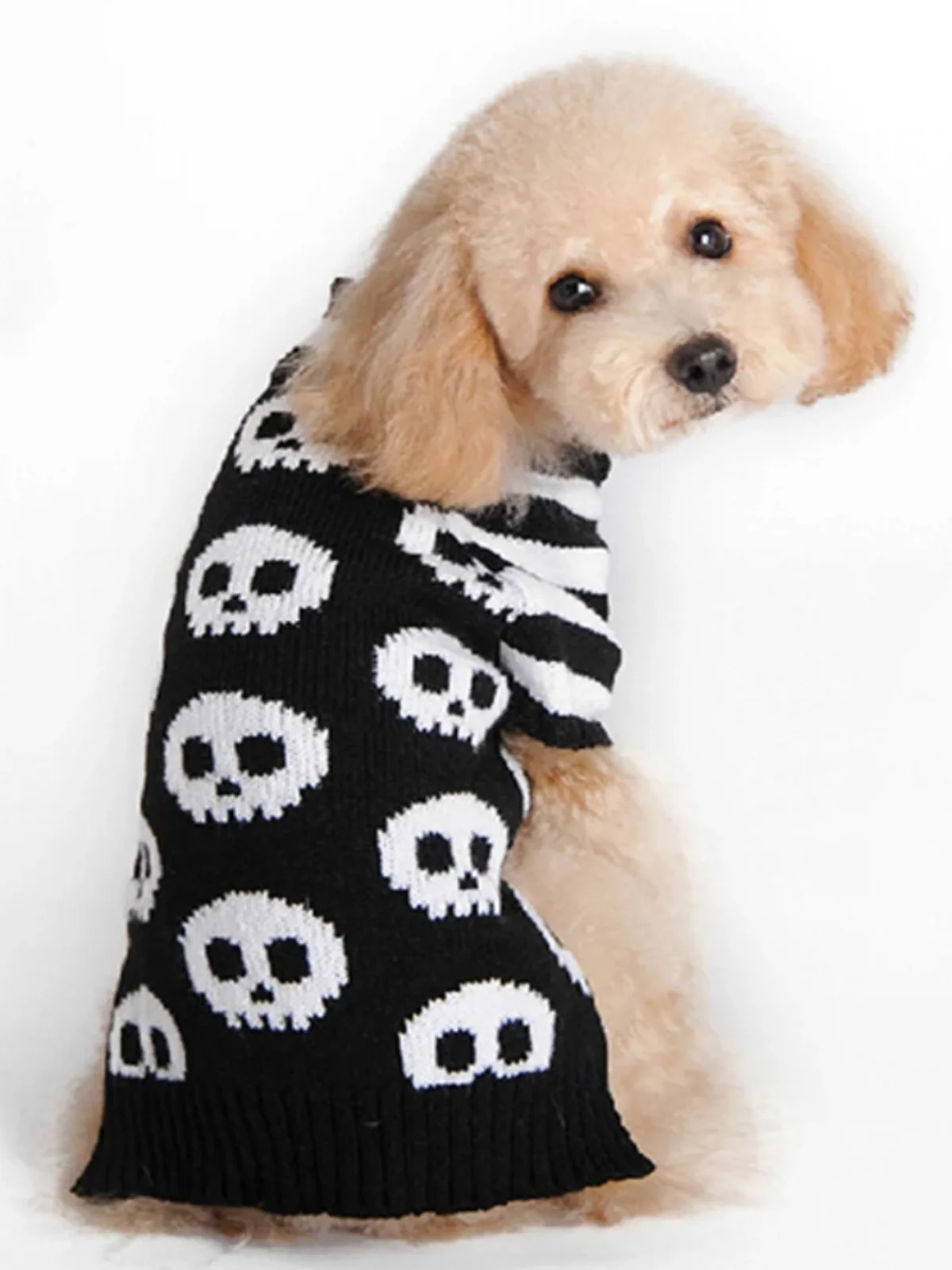 Dog Skull & Pumpkin Halloween Sweater Costume - Image 4