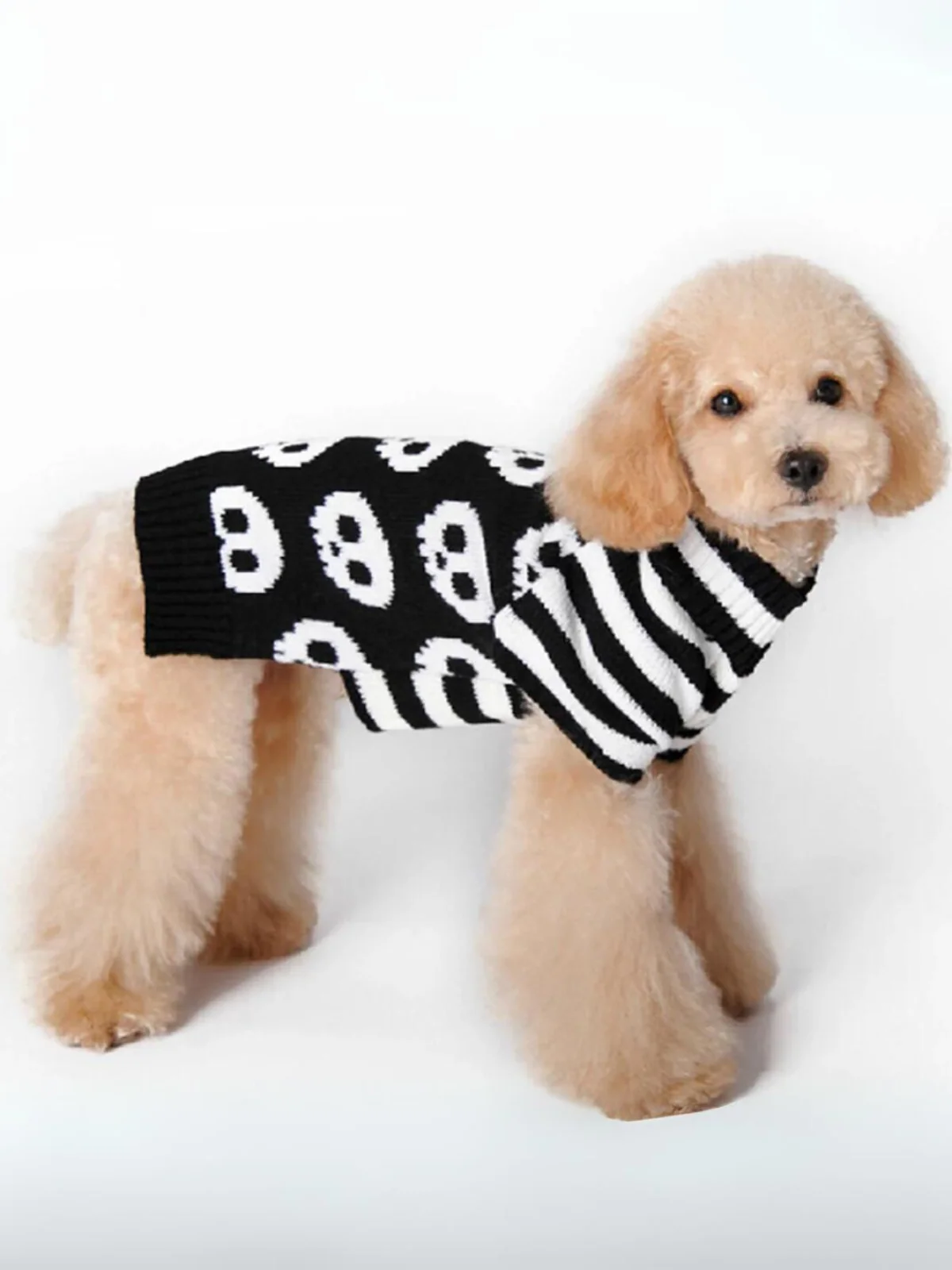 Dog Skull & Pumpkin Halloween Sweater Costume - Image 5