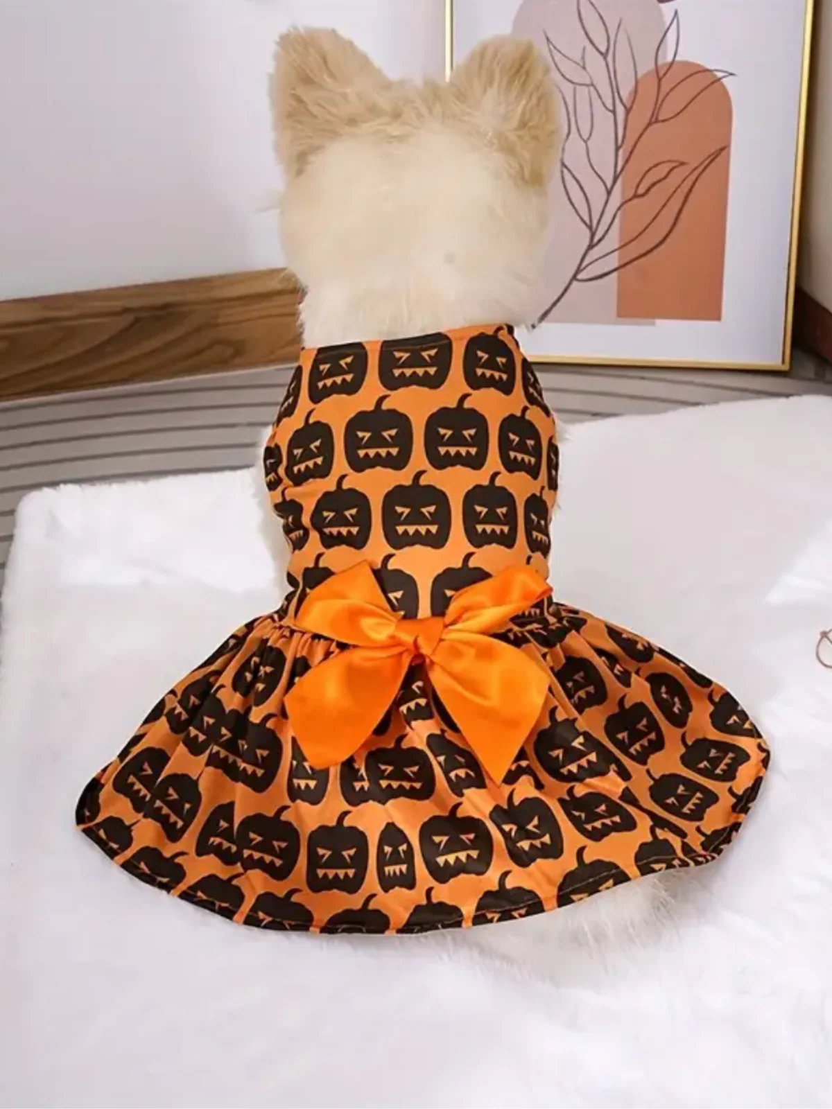 Dog Spooky Pumpkin Skull Halloween Costume - Image 3
