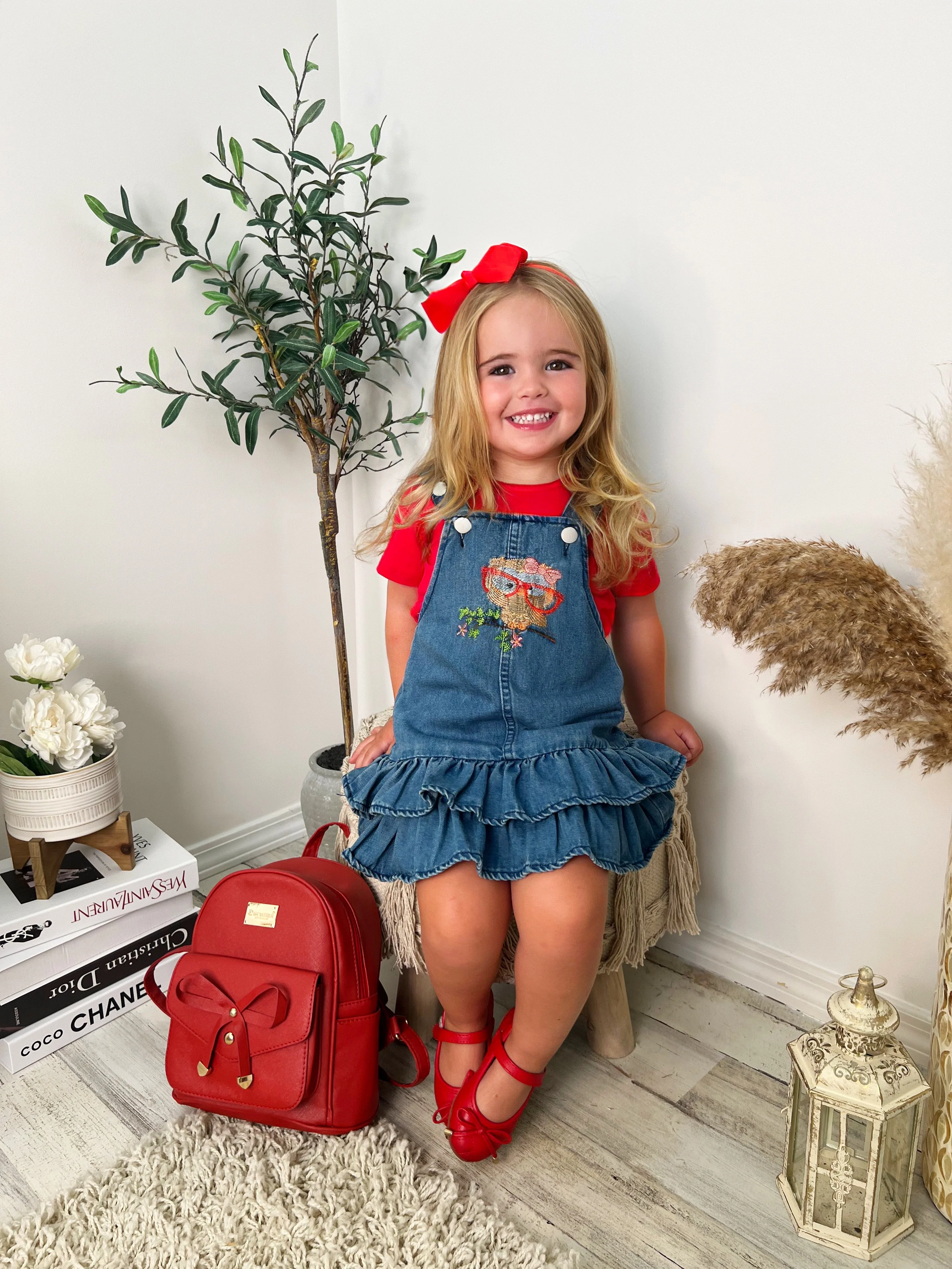Owl Denim Overall Dress Set - Image 5