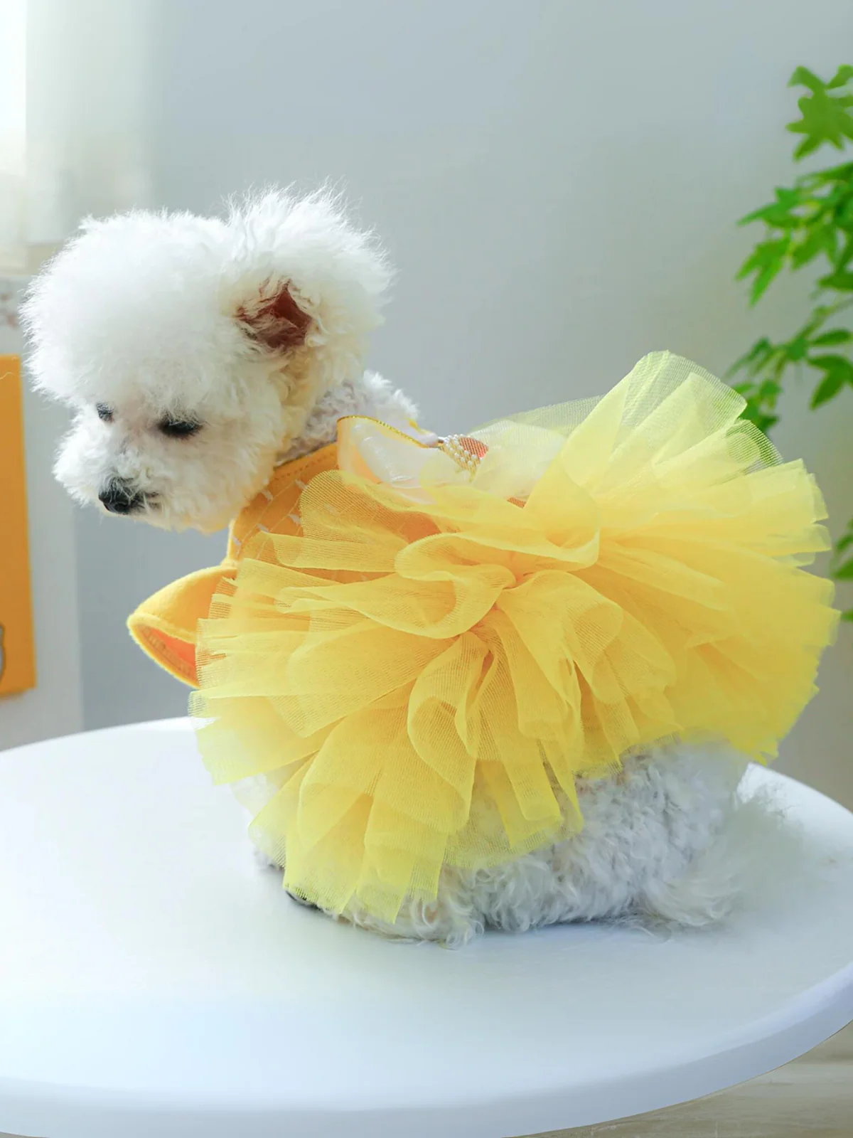 Dog Beauty Tutu Halloween Costume - Image 2