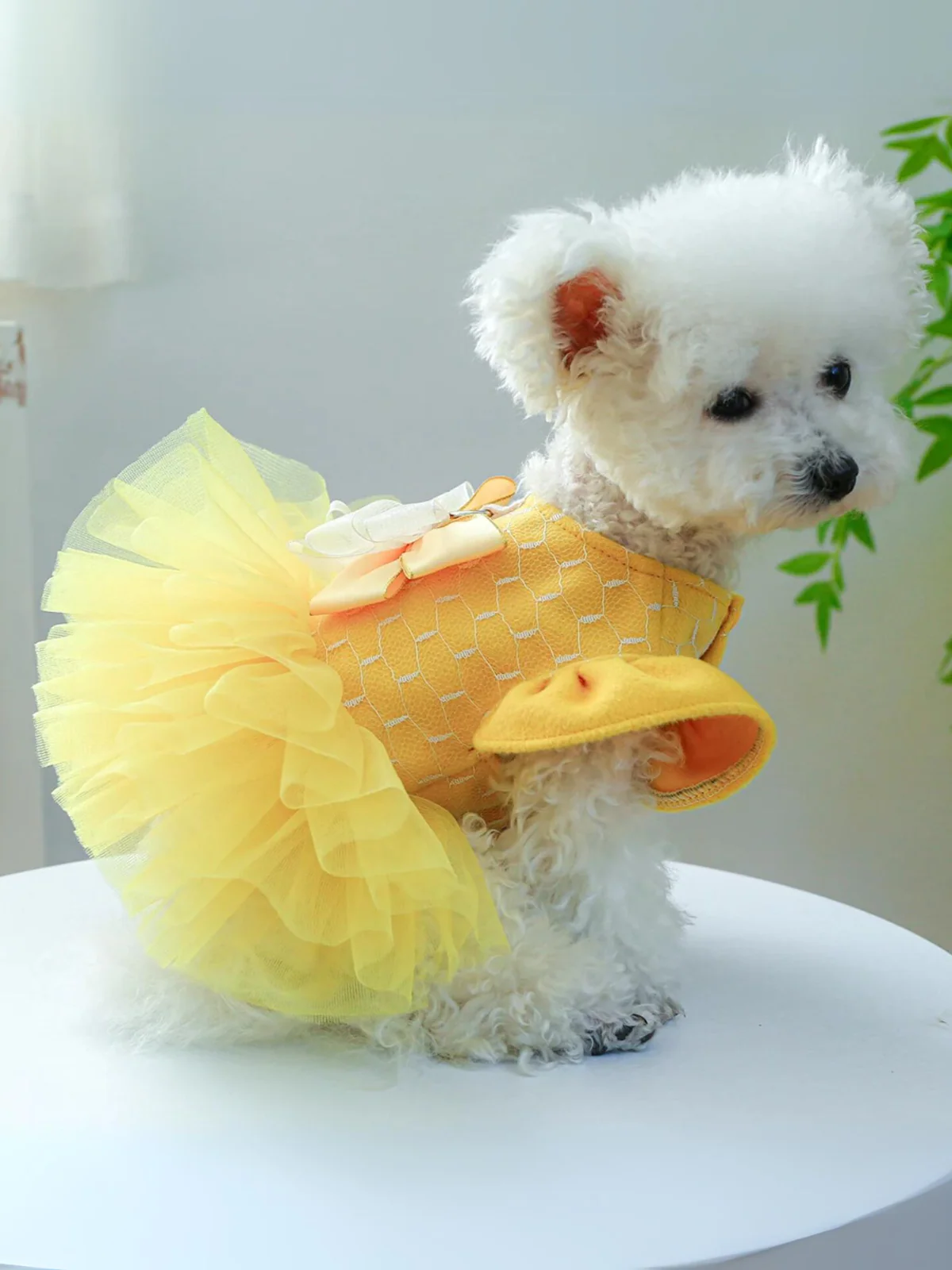 Dog Beauty Tutu Halloween Costume - Image 3