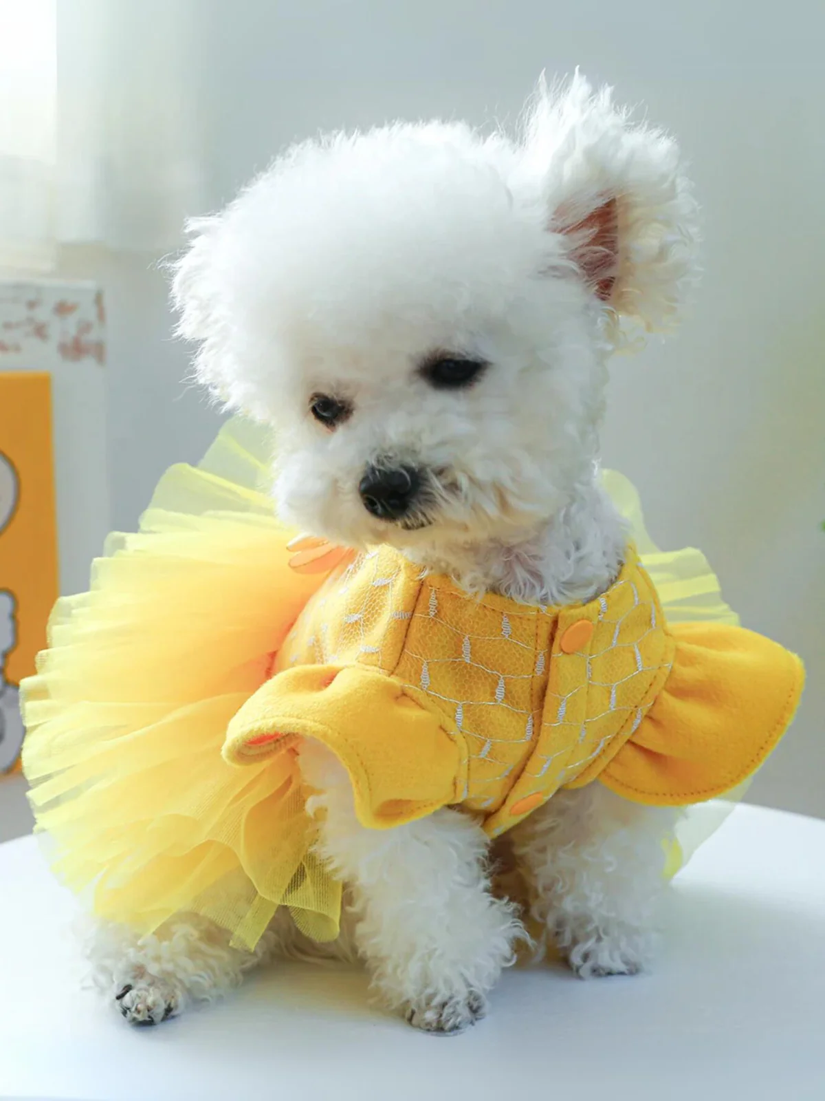 Dog Beauty Tutu Halloween Costume - Image 4