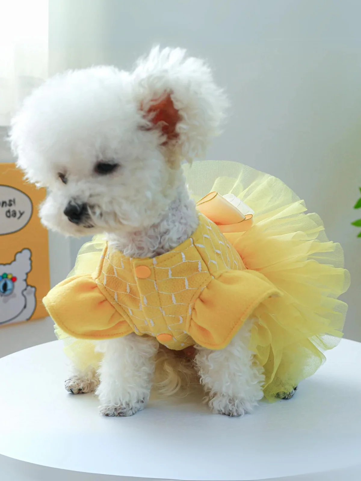 Dog Beauty Tutu Halloween Costume - Image 6
